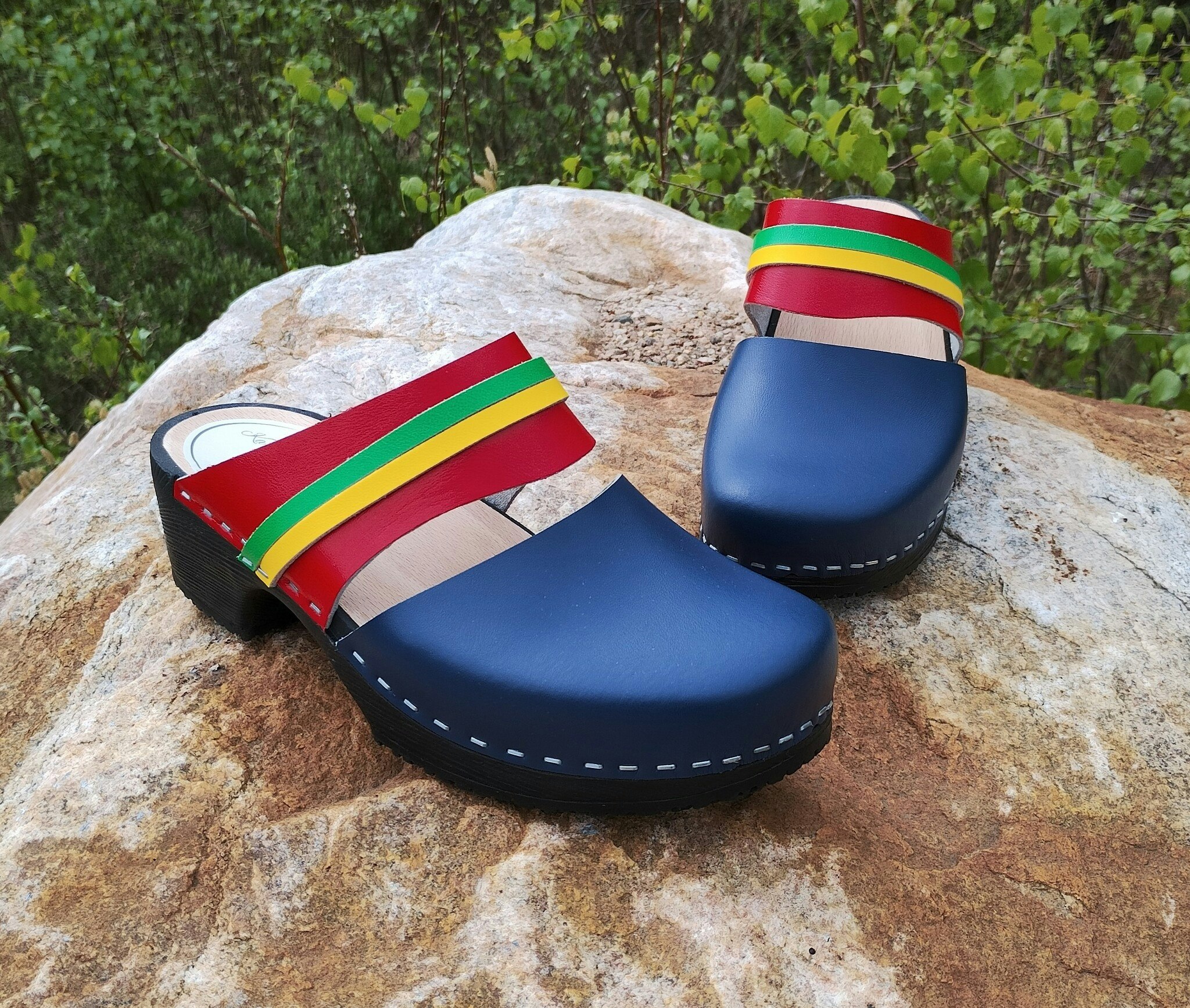 Ellen i de Samiska färgerna.            💙♥️💚💛
