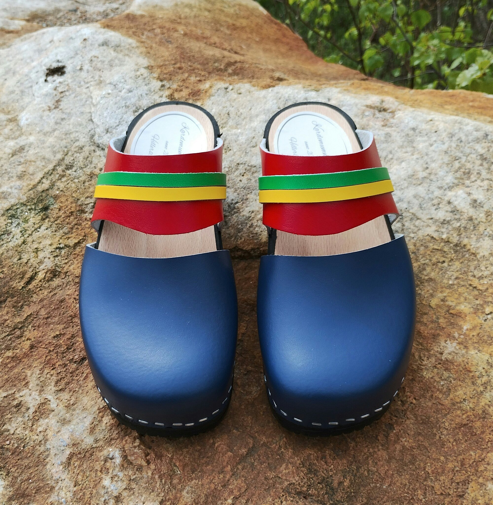 Ellen i de Samiska färgerna.            💙♥️💚💛