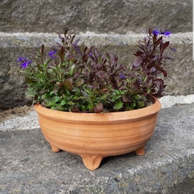 Flower pot