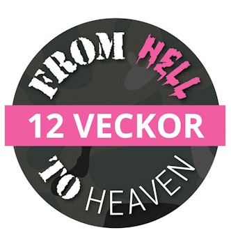 12 Veckor From Hell TO Heaven – Fullsupport online/distans