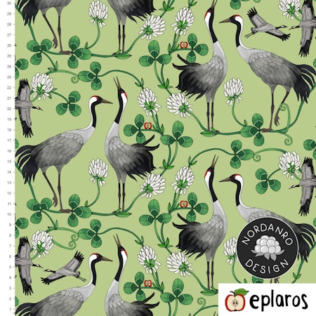 Cranes Green (11) Jersey