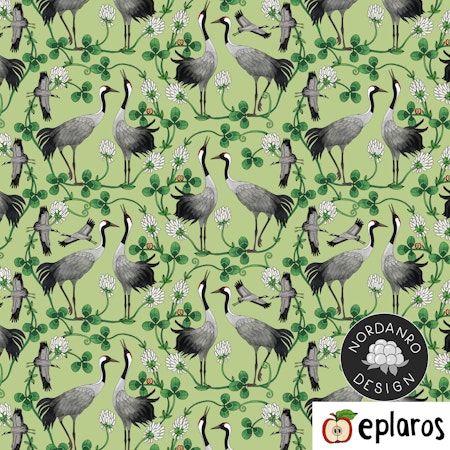 Cranes Green (11) Jersey