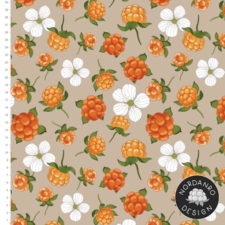 Cloudberry Cappuccino Canvas