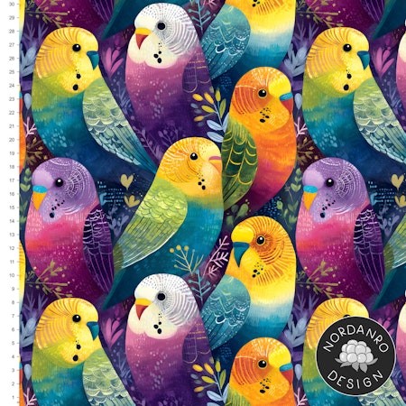Budgie Jersey