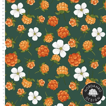 Cloudberry Petrol Jersey
