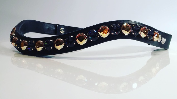 Fancy Delight Browband #2