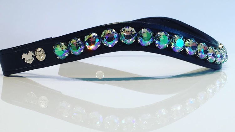 Fancy Delight Browband #3