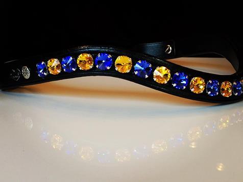 Delight Browband #4