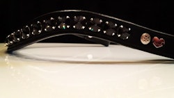 Delight Browband #12