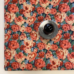 Libertytyg Poplin - Roman Rose