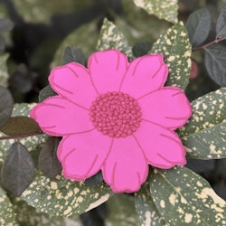 Blomapplikation cerise 14cm