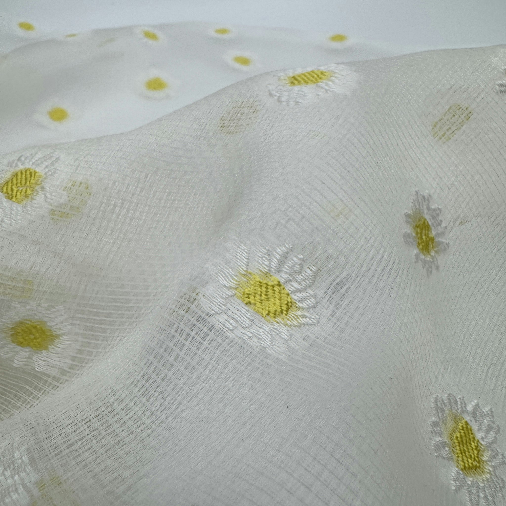Sidenorganza Daisy