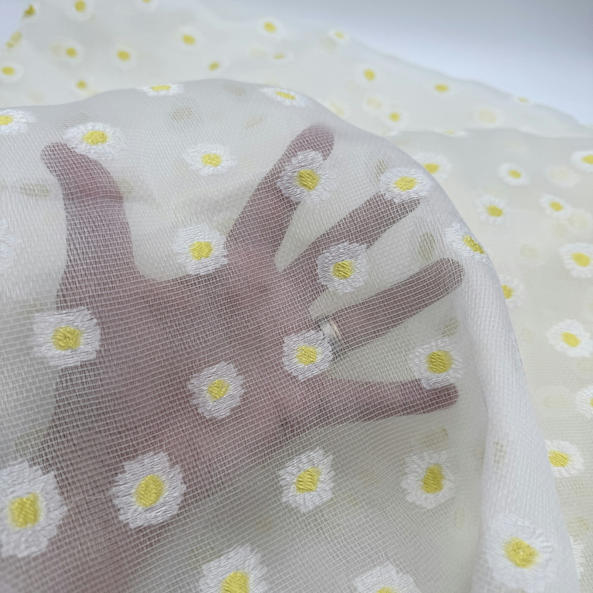 Sidenorganza Daisy