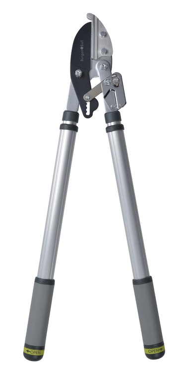 Grensax, Burgon & Ball