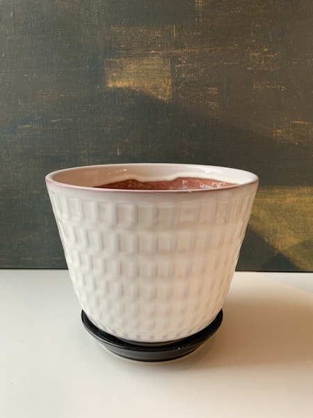 Gunilla flower pot 5
