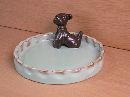brown dog in green bowl 12