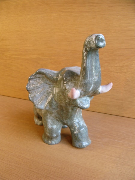 greyish elephant 101