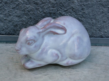 big white rabbit 106