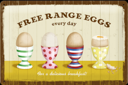 Free range eggs every day SKYLT 20x30cm
