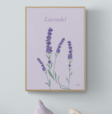 Lavendel blommor poster