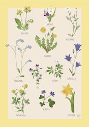Blommor Poster