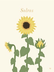 Solros Poster