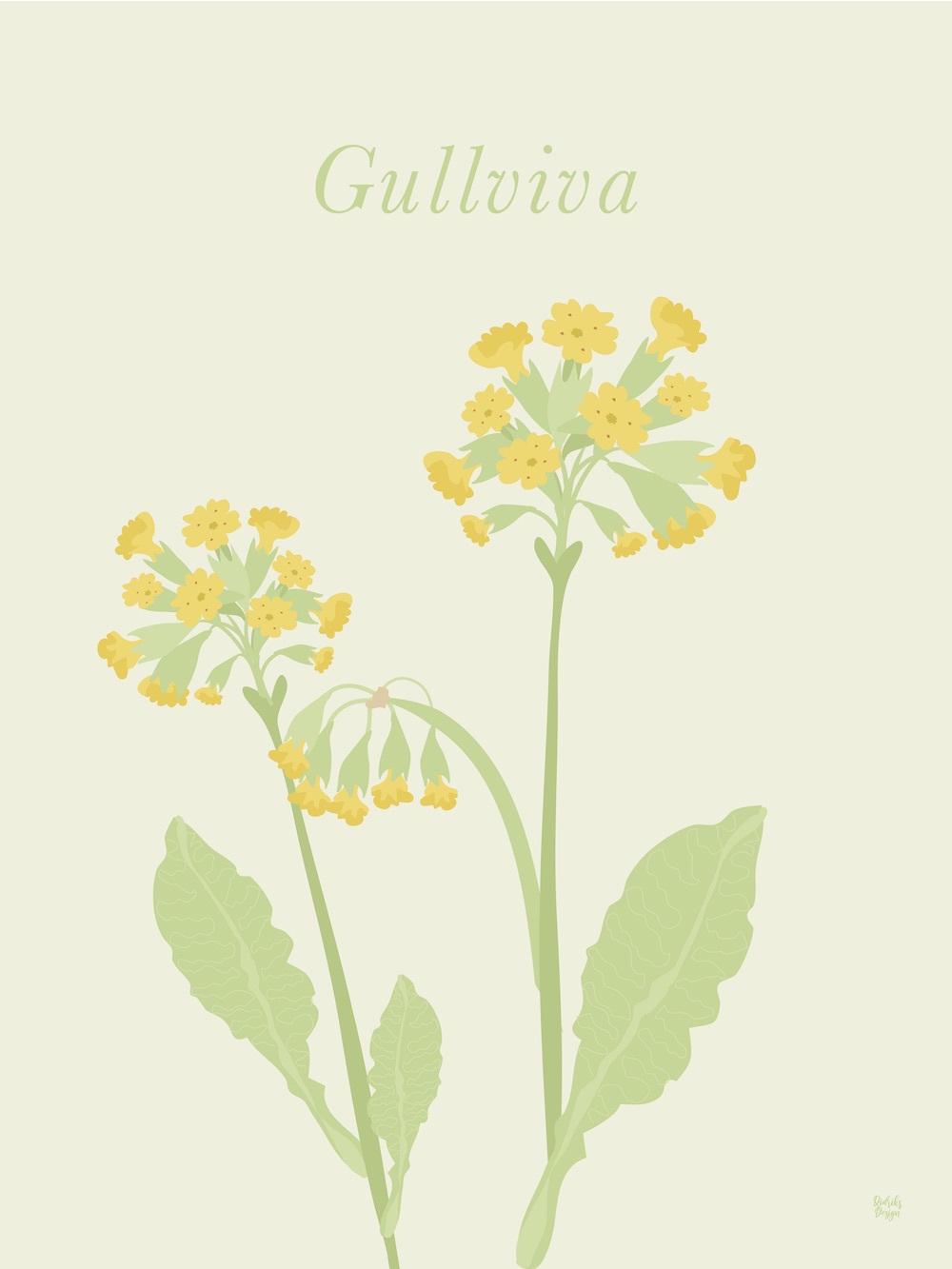 Gullviva blommor poster