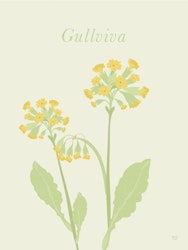 Gullviva Poster