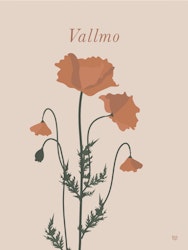 Vallmo Poster