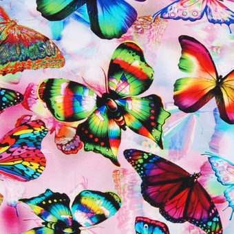 Regnbågsfjärilar
