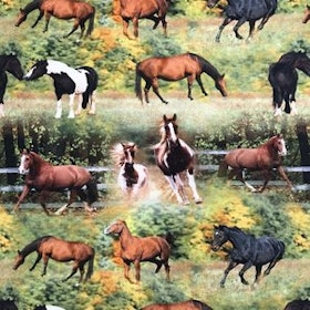 Hästar på grönbete