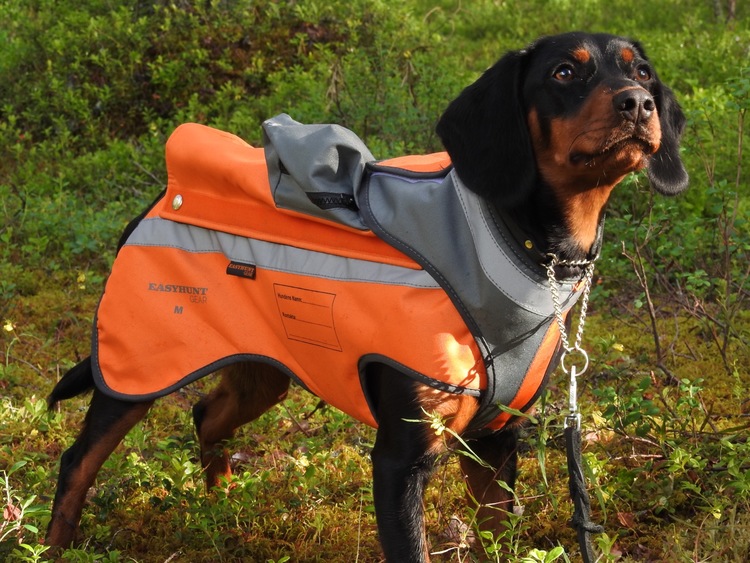 Protective vest for dog