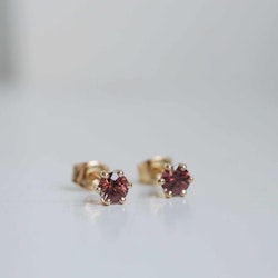 "Cordelia" Earrings in gold with zirkons