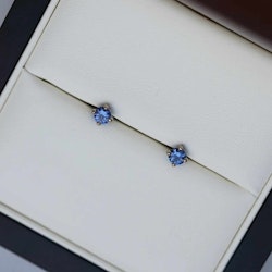 "Stellar" earstuds in white gold with blue sapphires