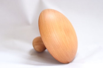 Mushroom Anvil 6
