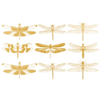 Dekal Gold Dragonfly