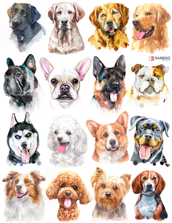 Dekal Dogs