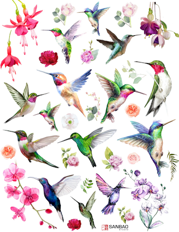 Dekal Hummingbird