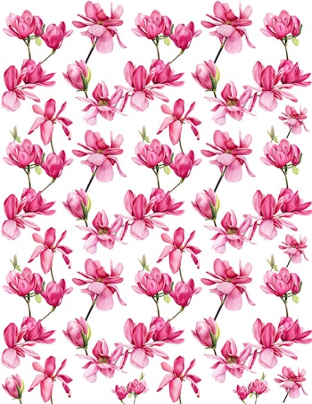 Dekal Magnolia