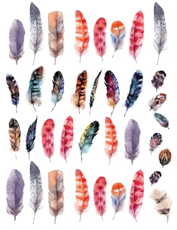 Dekal Feathers