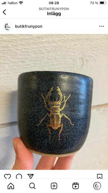 Dekal Gold Bugs