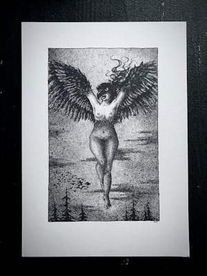 Vildvittra print