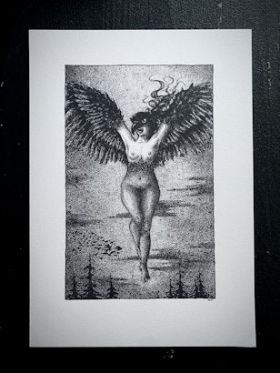 Vildvittra print
