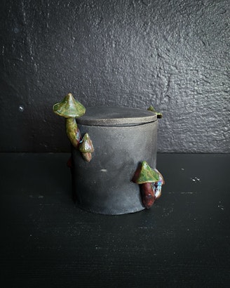 Jar Mushrooms