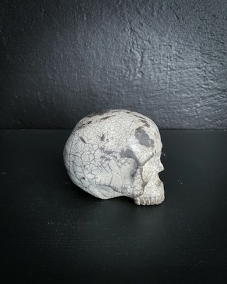 White Skulle Spotted