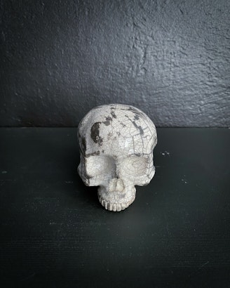 White Skulle Spotted