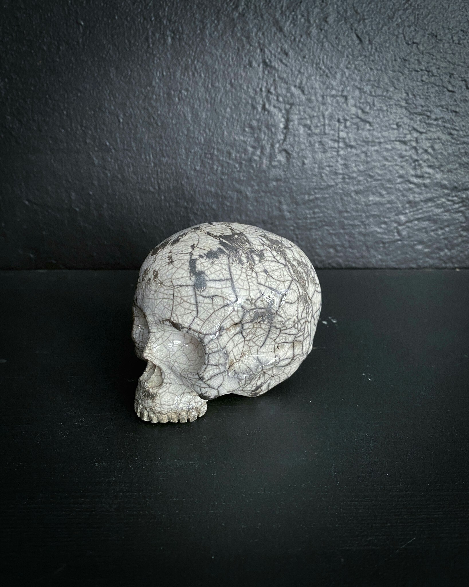 White Skulle Spotted