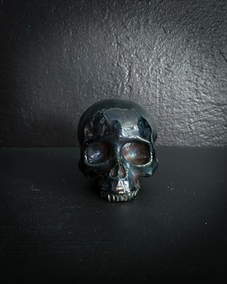 Shiny Blue-green Skull