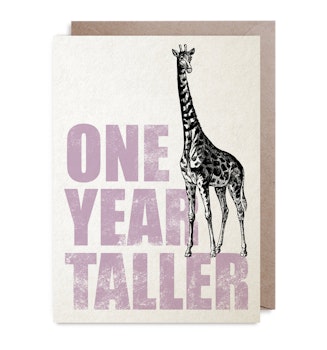 Kort - One Year Taller