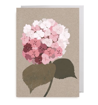Kort - Hortensia Pink
